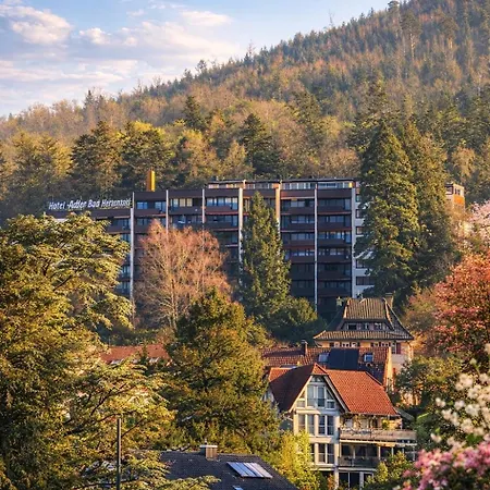 Black Forest Panorama Loft Mit Pool *