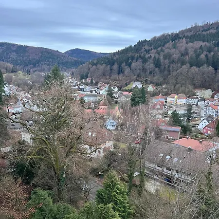 Black Forest Panorama Loft Mit Pool *