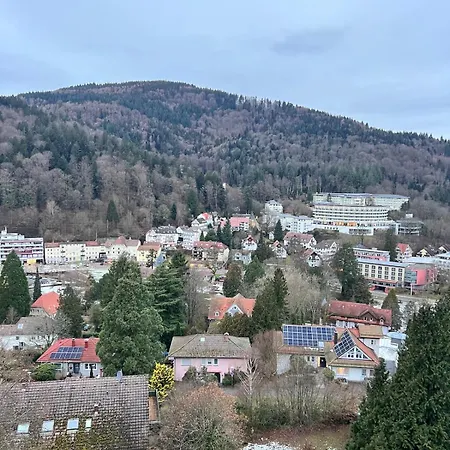 Black Forest Panorama Loft Mit Pool Бад-Херренальб