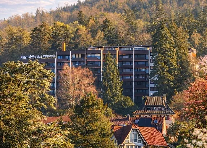 Black Forest Panorama Loft Mit Pool *