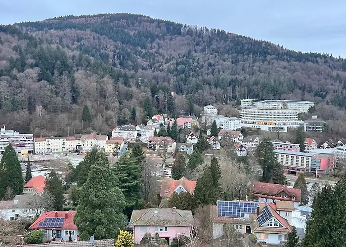 Black Forest Panorama Loft Mit Pool Bad Herrenalb